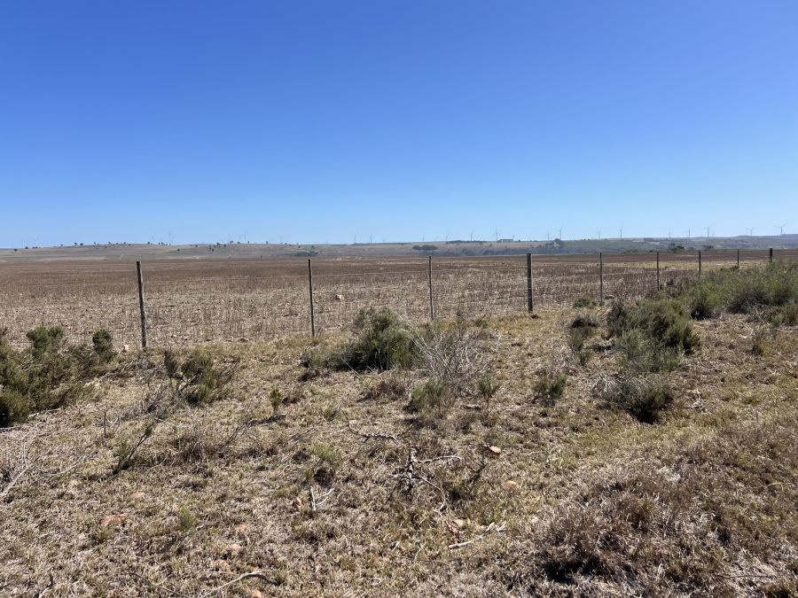 0 Bedroom Property for Sale in Humansdorp Rural Eastern Cape